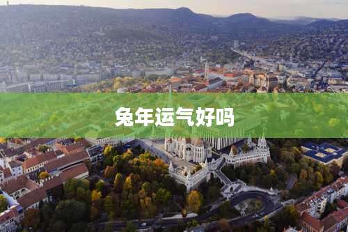 兔年运气好吗