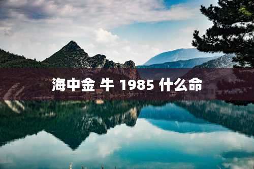 海中金 牛 1985 什么命