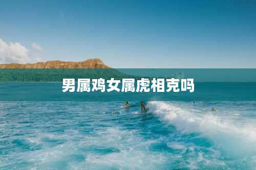 男属鸡女属虎相克吗