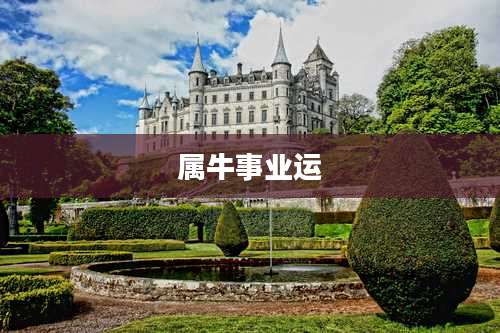 属牛事业运