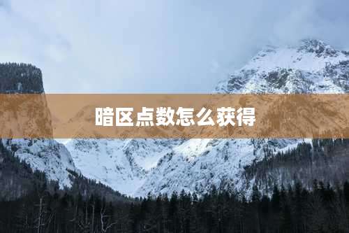 暗区点数怎么获得