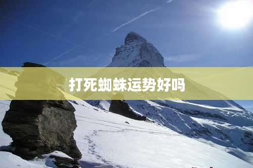 打死蜘蛛运势好吗