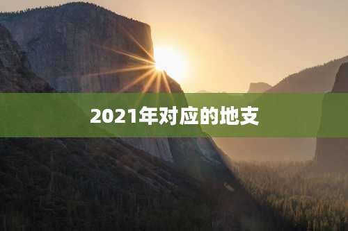 2021年对应的地支