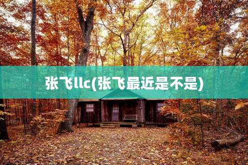 张飞llc(张飞最近是不是)