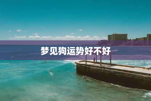 梦见狗运势好不好