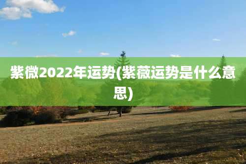 紫微2022年运势(紫薇运势是什么意思)