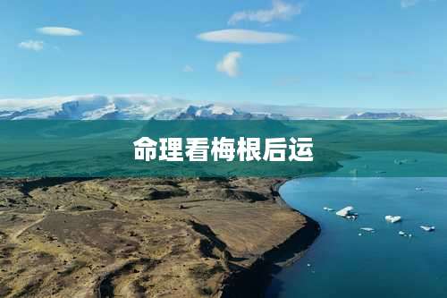 命理看梅根后运