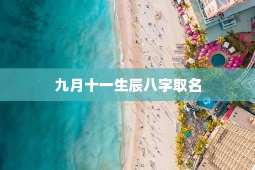 九月十一生辰八字取名