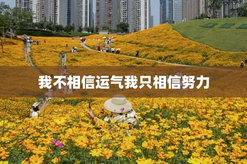 我不相信运气我只相信努力