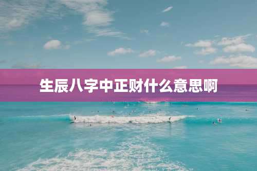 生辰八字中正财什么意思啊