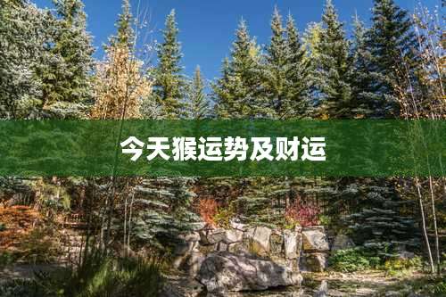 今天猴运势及财运