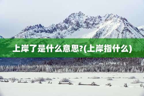 上岸了是什么意思?(上岸指什么)