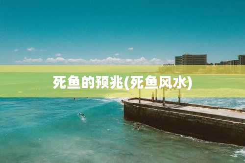死鱼的预兆(死鱼风水)