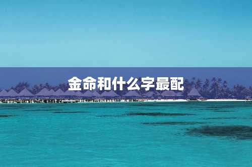 金命和什么字最配