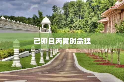 己卯日丙寅时命理