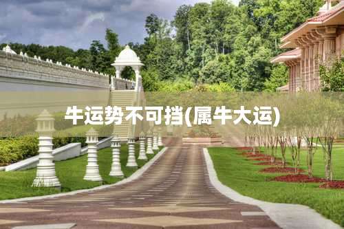 牛运势不可挡(属牛大运)