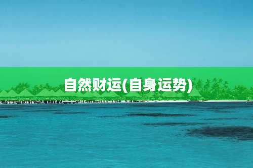 自然财运(自身运势)