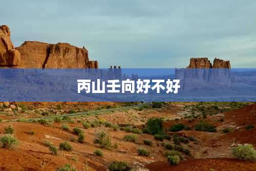 丙山壬向好不好