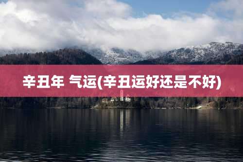 辛丑年 气运(辛丑运好还是不好)