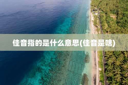 佳音指的是什么意思(佳音是啥)