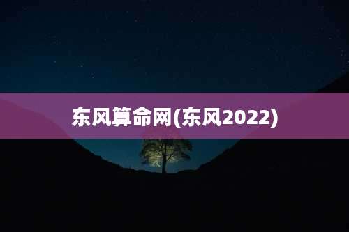 东风算命网(东风2022)