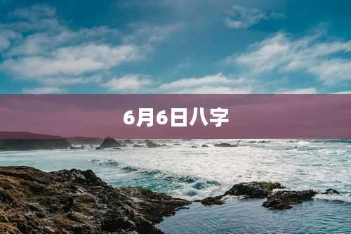 6月6日八字