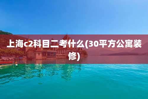 上海c2科目二考什么(30平方公寓装修)