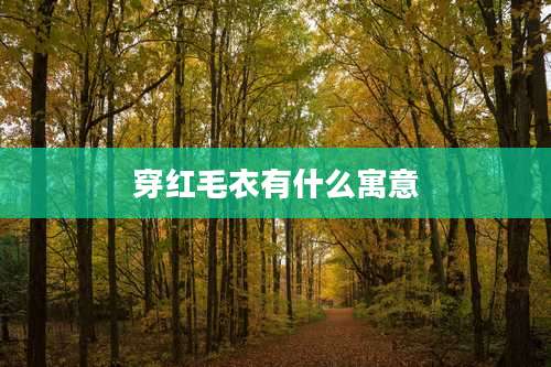 穿红毛衣有什么寓意