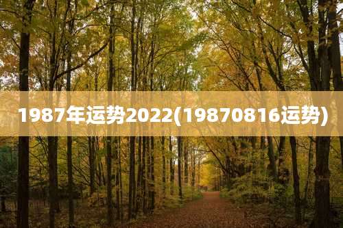 1987年运势2022(19870816运势)