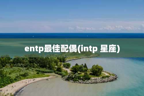 entp最佳配偶(intp 星座)