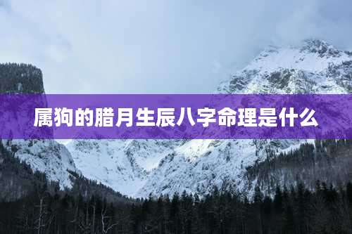 属狗的腊月生辰八字命理是什么