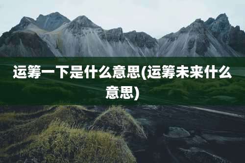 运筹一下是什么意思(运筹未来什么意思)