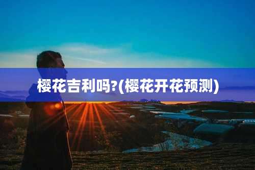 樱花吉利吗?(樱花开花预测)