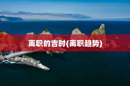 离职的吉时(离职趋势)