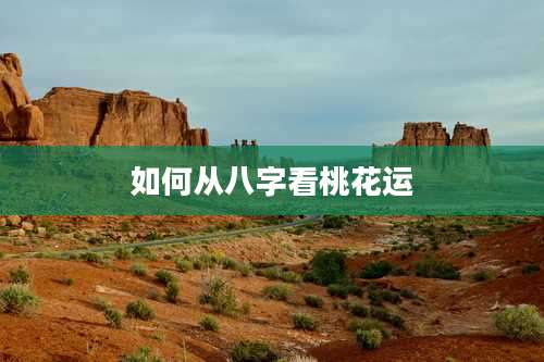 如何从八字看桃花运