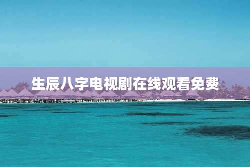 生辰八字电视剧在线观看免费
