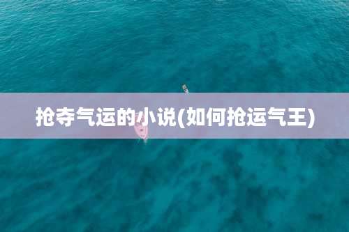 抢夺气运的小说(如何抢运气王)