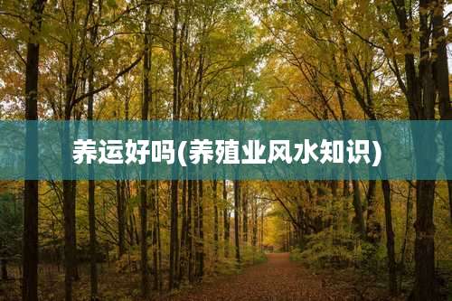 养运好吗(养殖业风水知识)