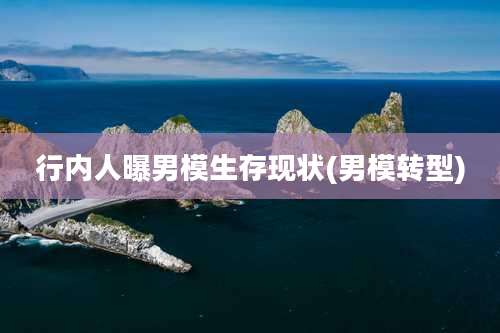 行内人曝男模生存现状(男模转型)