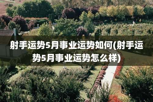 射手运势5月事业运势如何(射手运势5月事业运势怎么样)