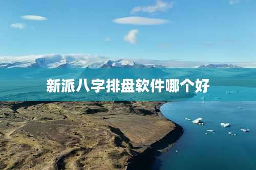 新派八字排盘软件哪个好