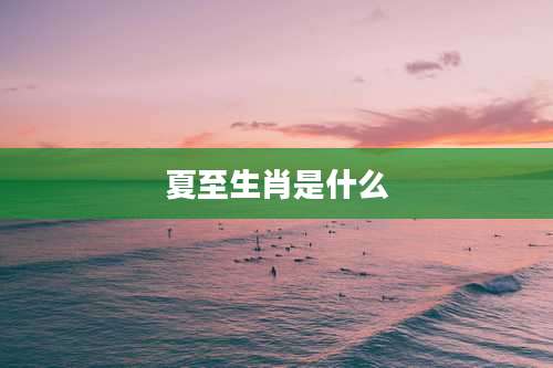 夏至生肖是什么