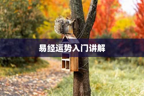 易经运势入门讲解