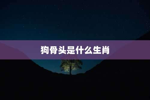 狗骨头是什么生肖