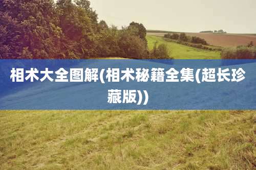 相术大全图解(相术秘籍全集(超长珍藏版))