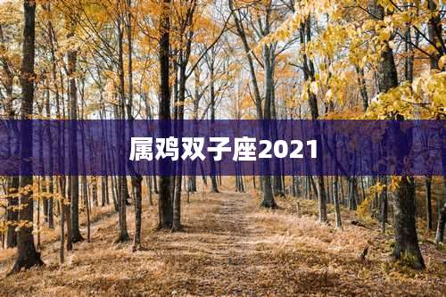 属鸡双子座2021