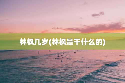 林枫几岁(林枫是干什么的)