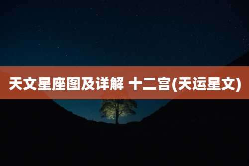 天文星座图及详解 十二宫(天运星文)
