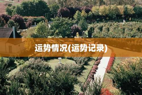 运势情况(运势记录)