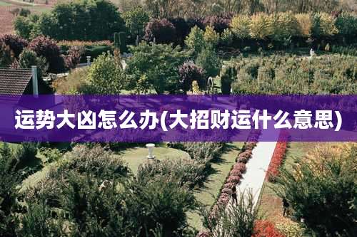 运势大凶怎么办(大招财运什么意思)